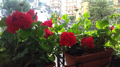 Photos of Immobiliare di Benevento