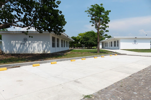 Bachillerato 35 - Visual