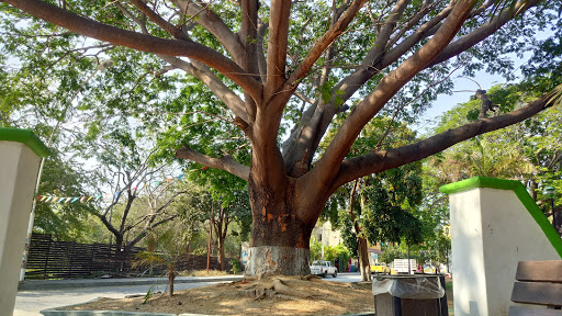 Public Plaza La Cruz de Huanacaxtle. Nay. - Thumbnail