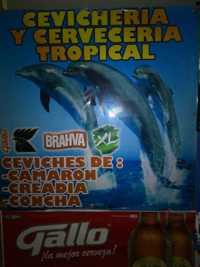 Photos of Cevicheria Tropical