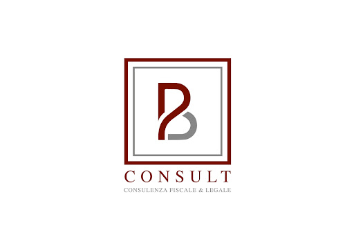 B CONSULT - Visual
