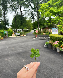 Photo n°29 de Camping Le Bec de Cisse à Vouvray (Terrain de camping)