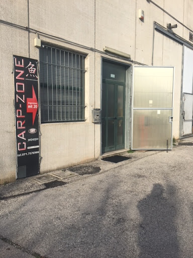 Carp Zone Srl - Visual