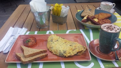 Photos of BackYard Restaurant