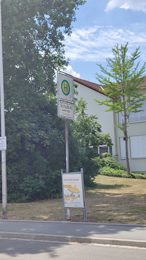 Cunz-Reyther-Grundschule - Thumbnail