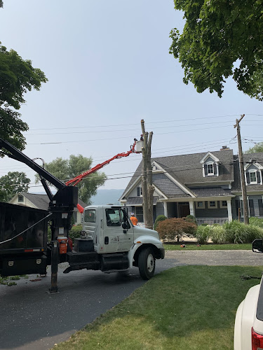 Britton Tree, LLC