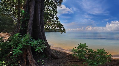 Photos of Bamboo Island