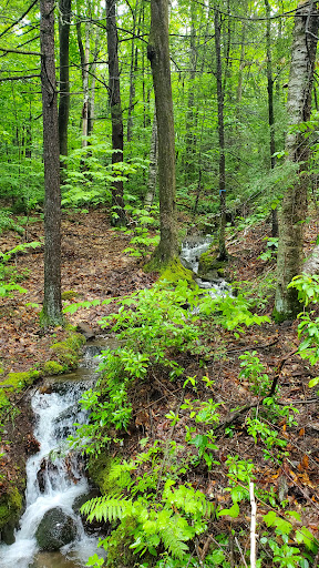 Erving State Forest - Visual