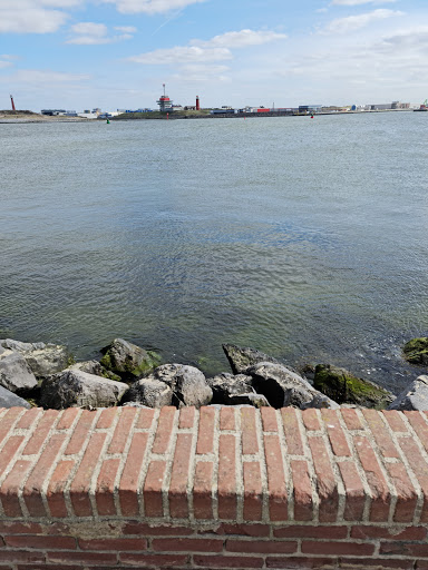 Noordpier Gallery - Netherlands