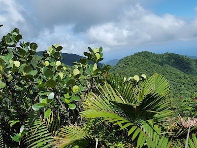 Morne Trois Pitons National Park