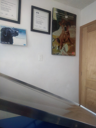 Veterinaria Emi-Edu - Thumbnail