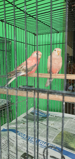 Squawks Pet Store - Thumbnail