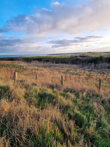 Seahouses - Visual