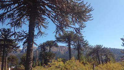 Photos of LA MOQUEHUINA