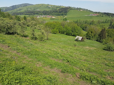 Tierparadies Schabenreith - Steinbach am Ziehberg