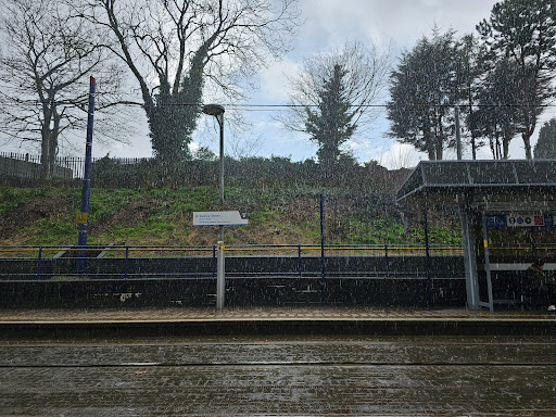 Dartmouth Street - Thumbnail
