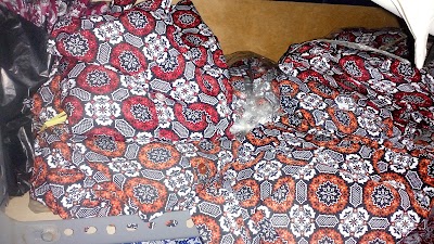 Photos of Konveksi & Optik Bagoes