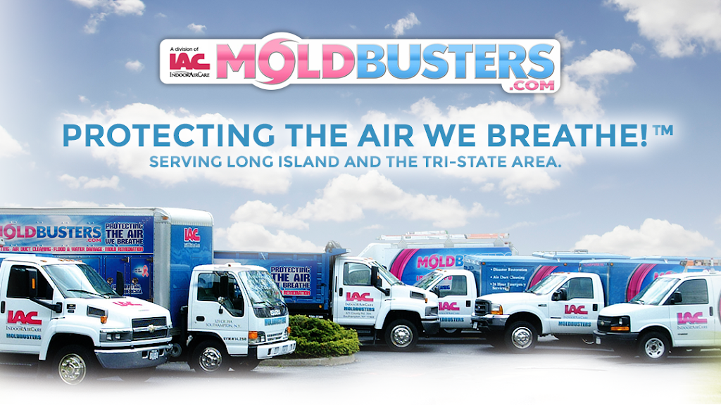 Moldbusters photo