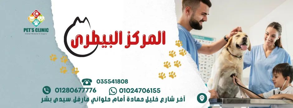 Dr. Nour Veterinary المركز البيطريّ - صورة 2