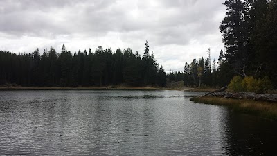 Lily Lake Picnic Site