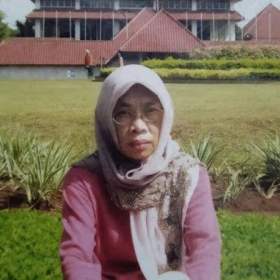 Photos of CS1 Jual Tanaman Hias
