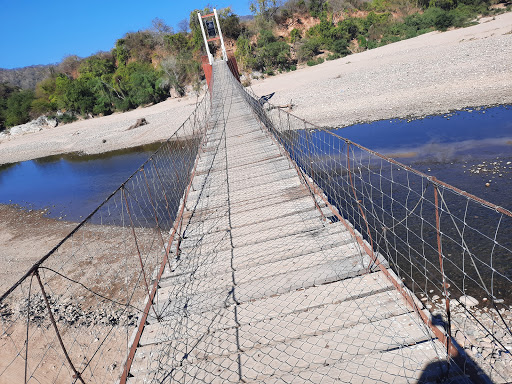 Tamazula durango - Visual