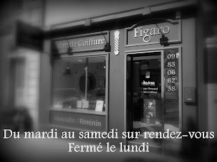 Photo n°8 de Figaro, salon de coiffure mixte à Laval (Salon de coiffure)