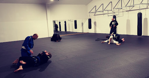 Brazilian Jiu Jitsu Palagym