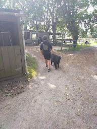 Photo n°13 de Esprit D'Chien à Beauvoir-sur-Mer (Dresseur d'animaux de compagnie)