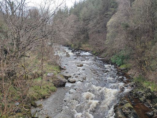 Coed y Brenin Forest Park - Thumbnail