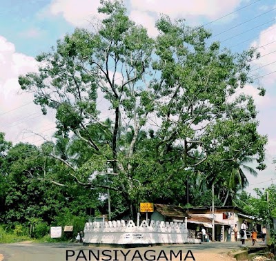 Photos of Pansiyagama Junction