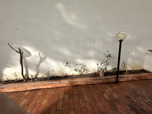 Geoverdepalermo - Visual