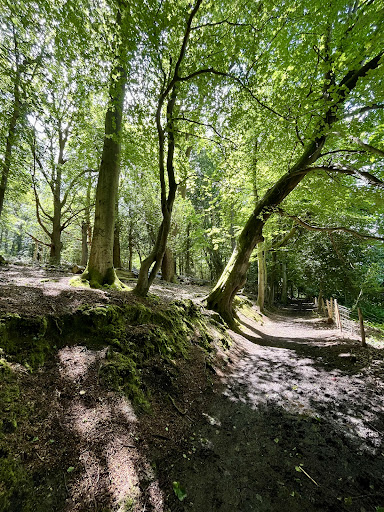 Southborough Common - Thumbnail