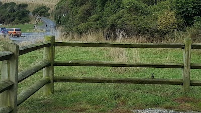 Photos of Purakaunui Bay campsite
