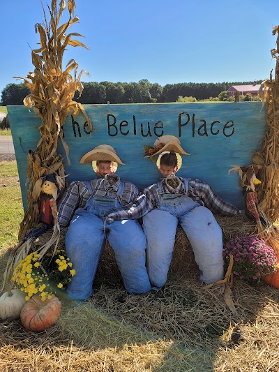 The Belue Place Pumpkin Patch