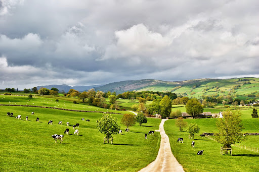 McVeigh Parker Farm and Fencing Suppliers