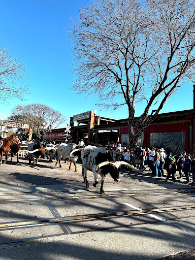 Fort Worth BCycle: Stockyards Station - Thumbnail