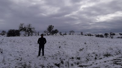 Dumlupınar Stadyumu