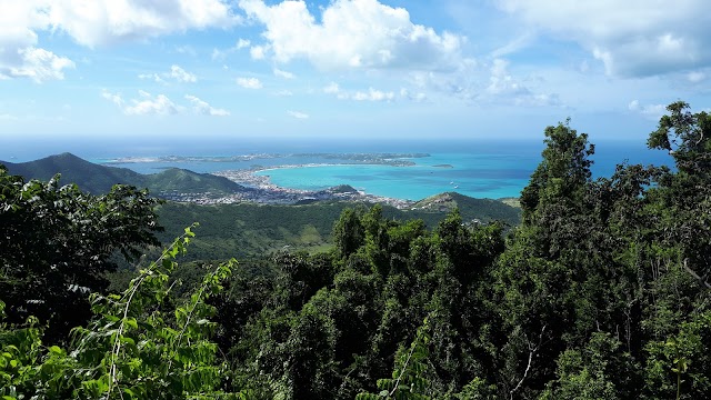 Pic Paradis
