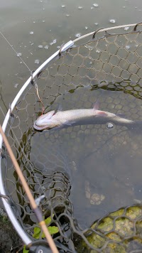 みどりフィッシングエリア