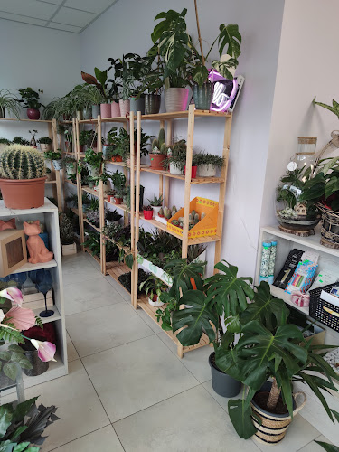 Numer telefony do Kwiaciarnia PlantStacja
