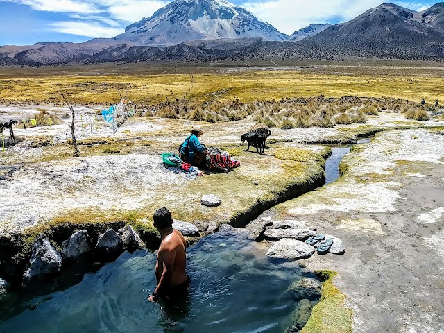 Sajama National Park and Natural Integrated Management Area