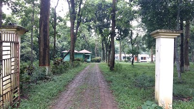 Photos of Forest Rest House