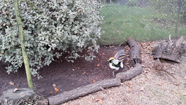 Golders Hill Park Zoo