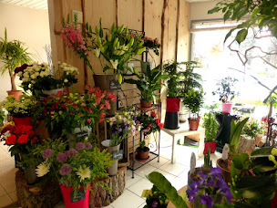 Photo n°43 de Le Monde Des Fleurs à Embrun (Service de plantes d'intérieur)