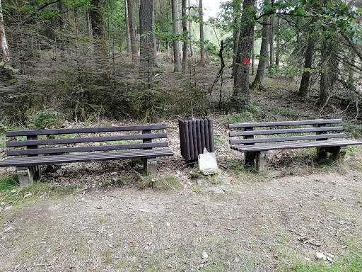 Brommelsäche - Visual