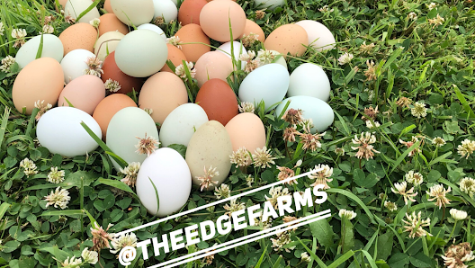 The Edge Farms 3410 Conestoga Rd, Glenmoore, PA 19343