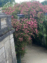 Photo n°19 de ARBNB La HULOTTE à Rouvillers (Pension de famille)