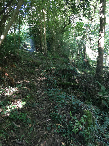 Seoane - Visual