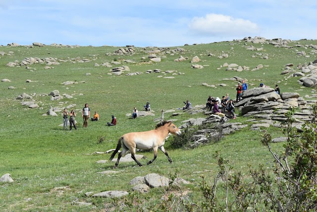 Place around image